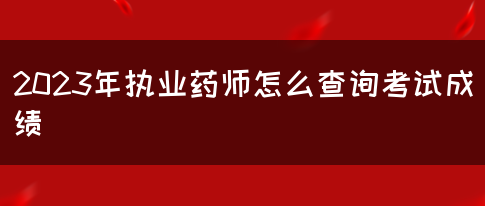 2023年执业药师怎么查询考试成绩(图1)