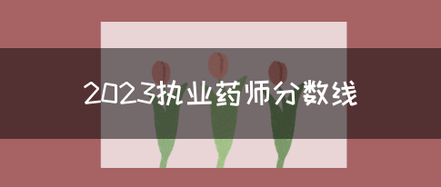 2023执业药师分数线