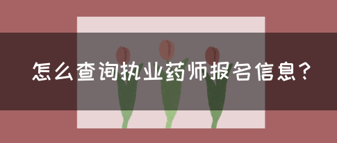 怎么查询执业药师报名信息？(图1)